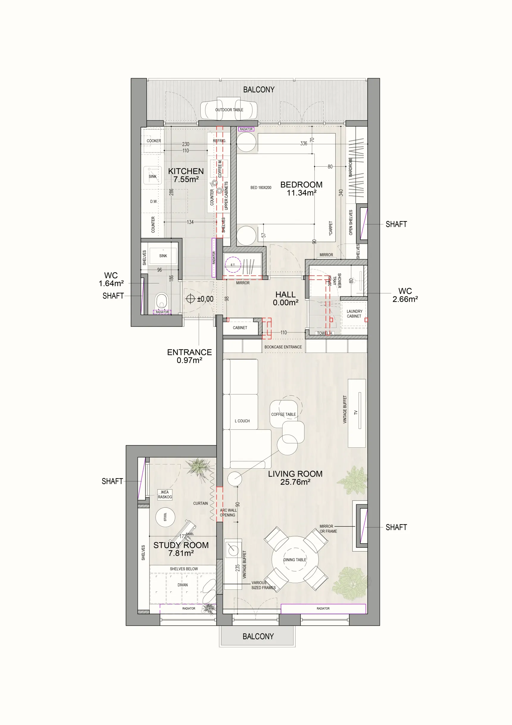 Initial concept plan